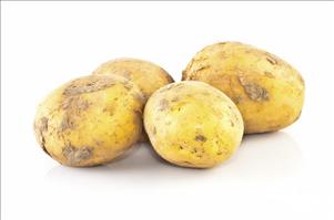 Dore's (zeer kruimige aardappel)