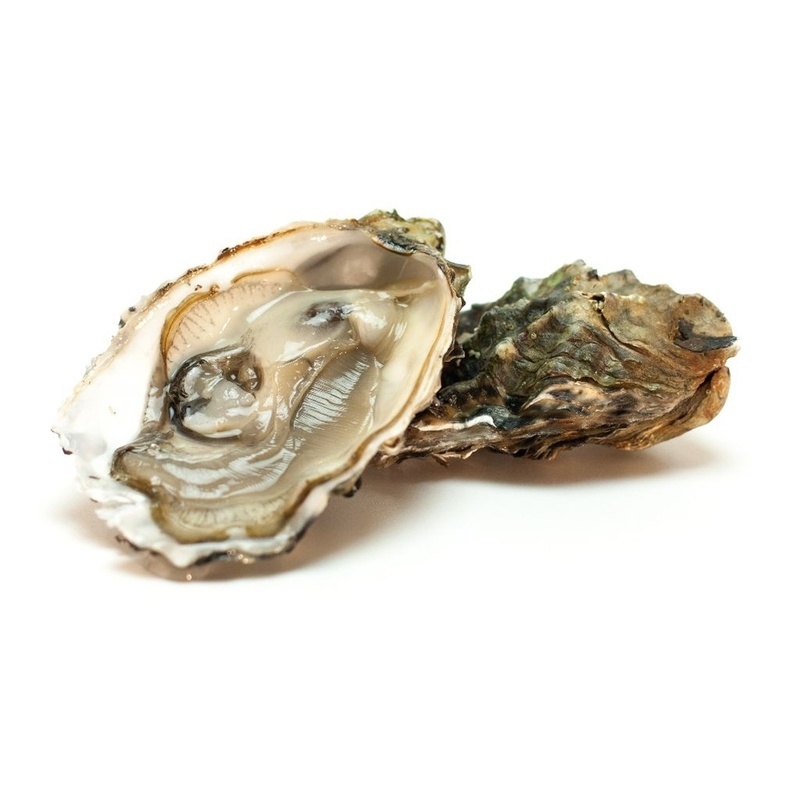 Oesters creuzes nr. 2